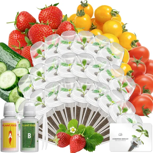 Vista 11 de Hydroponics - Vaina de semillas con albahaca genovesa y albahaca morada, kit completo de 8 cápsulas con esponja, canasta, cúpula, etiqueta