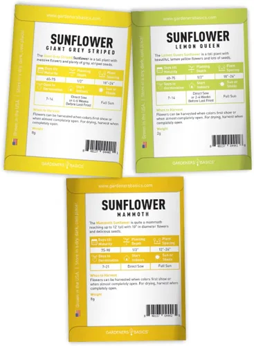 Vista 6 de Gardeners Basics, Semillas de girasol para plantar flores (paquete de 5) – Velvet Queen, mancha solar enana, reina limón, gigante y mamut mezcla a
