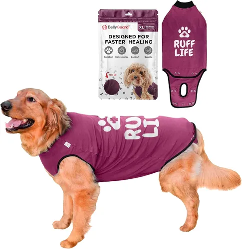 Vista 12 de Traje de Recuperación Quirúrgica BellyGuard para Perros, Mameluco para Perros para Cuidado Post-Operatorio, Ropa de Recuperación para Perros Hembra