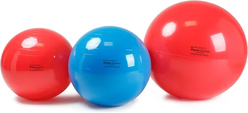 Vista 6 de Gymnic Physio Exercise Ball