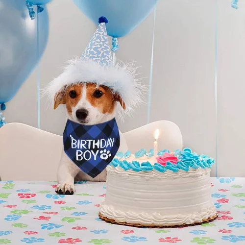 Vista 5 de STMK Paquete de 2 pañuelos de cumpleaños para perros, cumpleaños de perro niño y niña, bandana a cuadros triangulares para perros