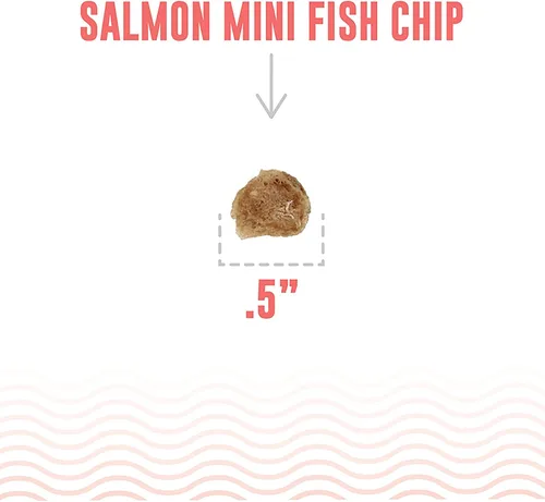 Vista 4 de Icelandic+ Mini Fish Chips: Salmón 9oz – Golosinas para perros, para entrenamiento y perros pequeños, 2 ingredientes secos al aire crujientes