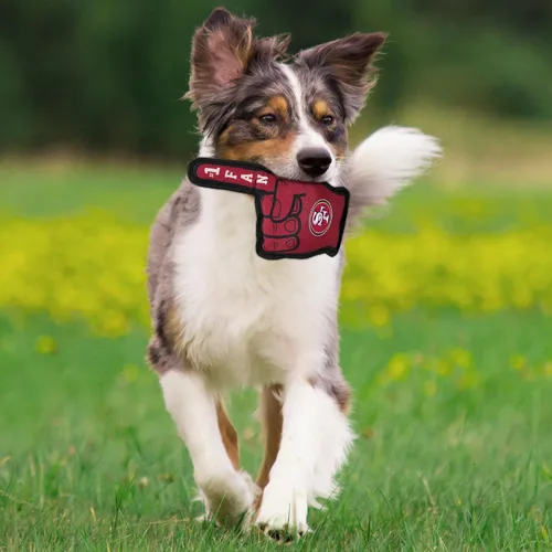 Vista 6 de Pets First NFL NFL #1 - Juguete unisex para perros fanáticos