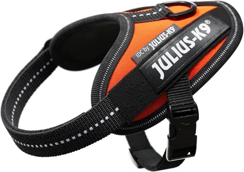 Vista 30 de Julius-K9 IDC Powerharness - Arnés para perro, Antracita