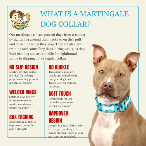 Vista 6 de Country Brook Petz - Collar de perro Oh My Dog Martingale - Colección Dog's Life con 1 diseño divertido (1 1/2 pulgadas, mediano)
