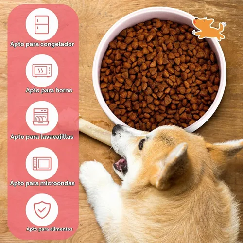 Vista 4 de Maxcheck - 2 cuencos de cerámica para perros pequeños, 5 pulgadas, color Rosa