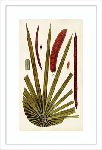 Vista 12 de Amanti Art Vision Studio - Lienzo decorativo para pared, 24 x 17 pulgadas, variedades de hojas VI por Vision Studio, arte de pared de naturaleza