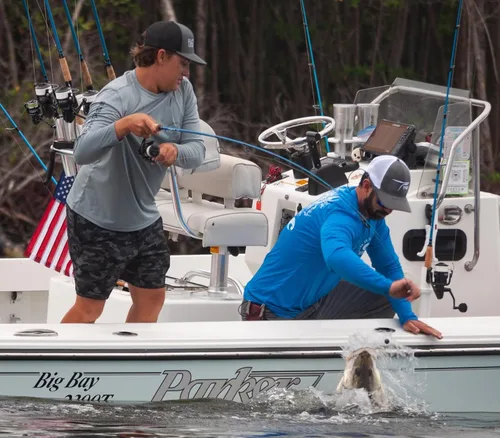 Vista 4 de Temple Fork Outfitters Cañas giratorias Tactical Inshore Series - Nuevo 2022, azul