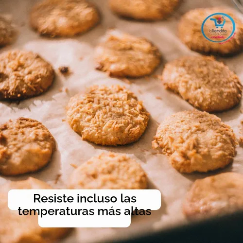 Vista 4 de Deiman Sartén de chocolate artificial con sabor a alimentos (4 onzas líquidas)
