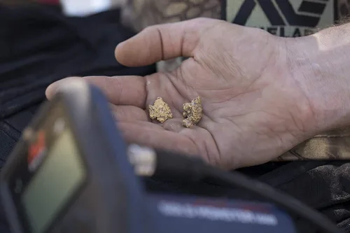 Vista 7 de Minelab Gold Monster 1000 - Detector de metales universal con 2 bobinas de búsqueda, resistente al agua
