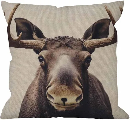 Vista 12 de HGOD DESIGNS Divertida funda de almohada decorativa con diseño de llama, funda de almohada de lino y algodón, funda de almohada estándar