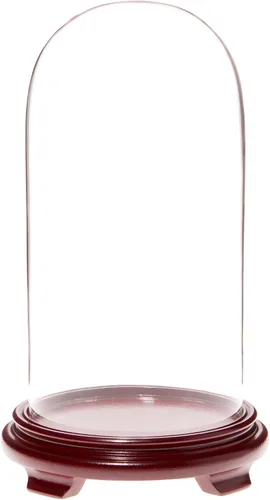 Vista 2 de Plymor Cúpula de cristal de 5.5 x 11 pulgadas (base con patas de chapa de madera negra)