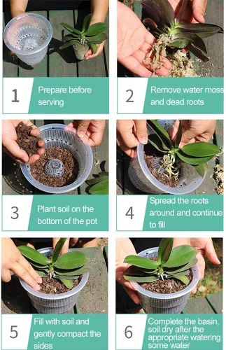Vista 4 de Macetas de plástico transparente para orquídeas con agujeros, maceta de plástico para orquídeas, macetas blancas con bandejas de drenaje