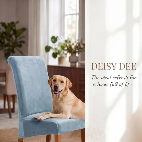 Vista 6 de Deisy Dee - Fundas elásticas XL/extragrandes para sillas de comedor de terciopelo, fundas extraíbles y lavables, protectores para sillas de comedor