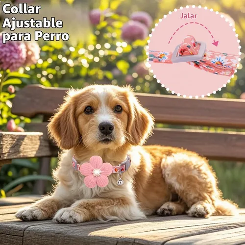 Vista 5 de Collar para perro mediano con flor, collares de perro para perros medianos Collar para niña Collar de perro lindo con campana, longitud ajustable