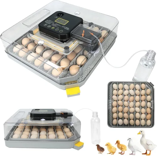 Vista 11 de Nest I - Incubadora de 12 huevos para principiantes, giro automático de huevos, humedad constante con botella de agua de recarga automática