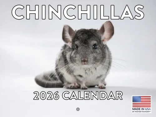 Vista 78 de Calendario mensual de pared de alpaca 2025 Fabricado en Estados Unidos