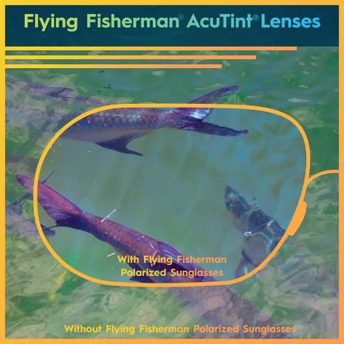 Vista 4 de Flying Fisherman Gafas de sol rectangulares Buchanan para mujer