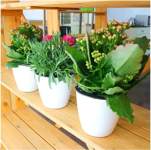 Vista 7 de Maceta de riego automático de 3.5 pulgadas, maceta pequeña de 3 piezas, para todas las plantas, hierbas, violetas africanas, suculentas, flores