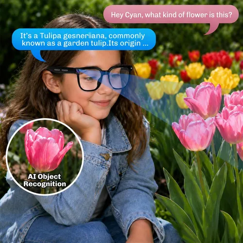 Vista 11 de Gafas inteligentes AI con cámara, video 4K, traducción en tiempo real
