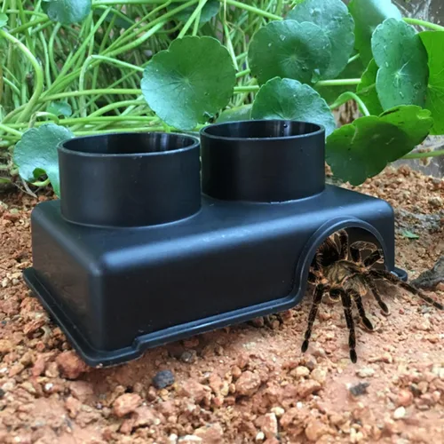 Vista 8 de Reptile Feeding Box with Split Use, PP Black for Small Pets