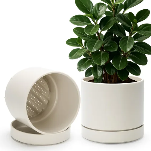 Vista 11 de Phoenix Vine 4 Inch Planter Pot with Drainage Hole & Saucer, Deep Water Catch Tray, Straight Cylindrical Round Pot for Plants, Olive, Pack of 1