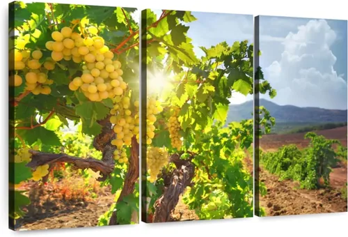 Vista 9 de ElephantStock - Vineyard Wine Tasting Wall Art - Horizontal Multi Panel Canvas - 3 Piece Dining Room Wall Decor - Photography Food And Drink Multi