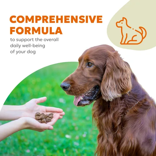 Vista 4 de Masticables suaves 10 en 1 para perros, apoyo avanzado para articulaciones, digestión, inmunidad, piel y pelaje, energía, músculos, huesos