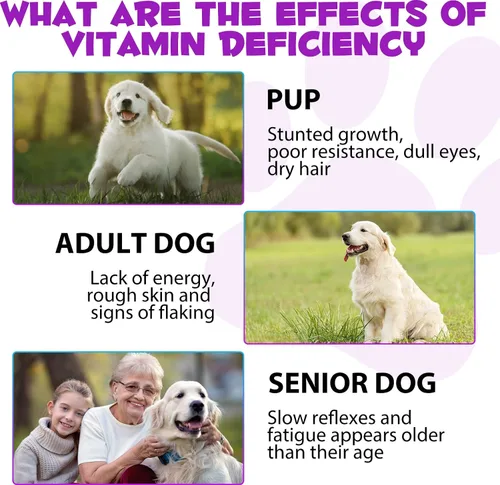 Vista 11 de Gotas multivitamínicas 15 en 1 para perros, gotas multivitamínicas líquidas