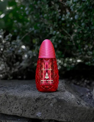 Vista 6 de Amber Woods por Pino Silvestre - Perfume para hombres - Aromático, amaderado y picante - Mezclado con limón, lavanda, pachulí y sándalo