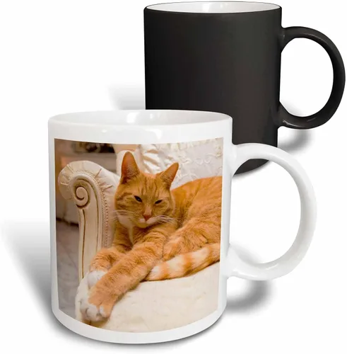 Vista 13 de 3dRose, Taza negra de dos tonos de 15 onzas, negro/blanco