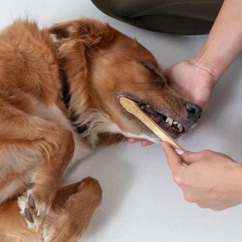 Vista 6 de Cepillo de dientes para perros y gatos, bambú de dos caras