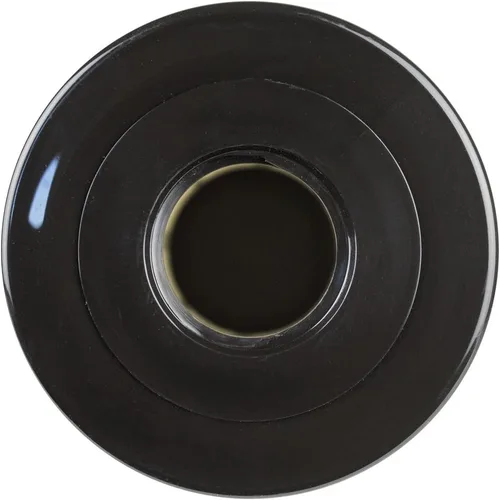 Vista 3 de Clear Choice CCP444 Filtro de cartucho de repuesto para spa de piscina para Arctic Spa 006541, medios de filtro de centinela plateados, 5 pulgadas