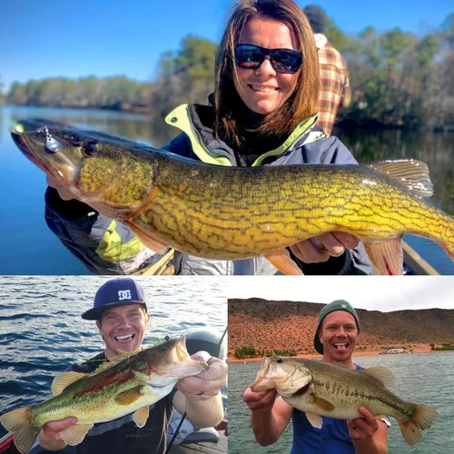 Vista 9 de 10 unidades de Señuelos de pesca Spinnerbait, kit de cebos de metal duro para róbalo, trucha, salmón, con cajas de anzuelos