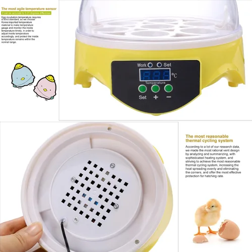 Vista 8 de Sailnovo Incubadora de huevos digital automática de pollo aves de corral incubadora de huevos, incubadoras para pájaros de codorniz de pato y ganso