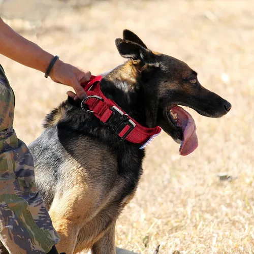 Vista 6 de Celifelight Juego de collar táctico para perro y correa elástica, militar y correa con bandera estadounidense ajustable K9 mango de hebilla de metal