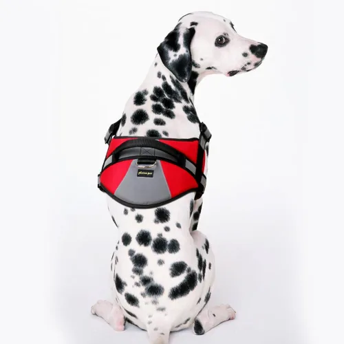 Vista 6 de Plutus Pet Chaleco de servicio para perro, arnés de chaleco para perro sin tirones con asa de fácil control, reflectante, transpirable, suave
