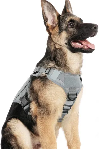 Vista 33 de rabbitgoo - Arnés táctico para perros pequeños, arnés resistente para mascotas con asa, chaleco de servicio sin tirones para razas pequeñas, chaleco
