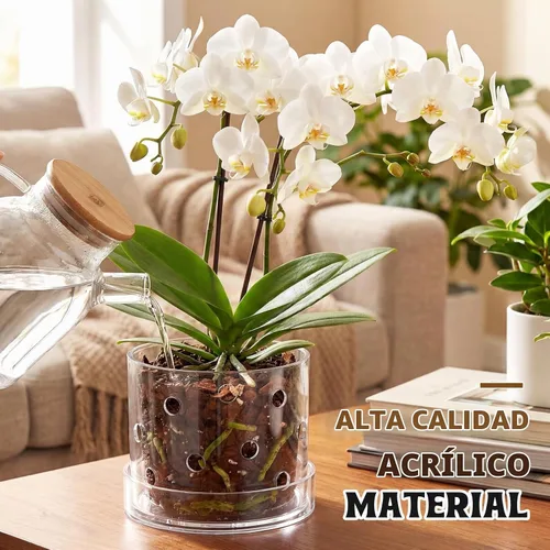 Vista 6 de Maceta de orquídea acrílica transparente de 6 pulgadas con agujeros