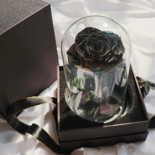 Vista 4 de Rosas preservadas, rosas negras en cúpula de cristal, medianas, flores preservadas para el día de la madre, regalos para mujeres Negro