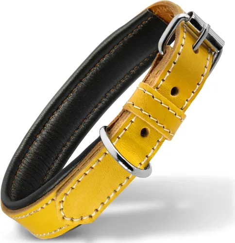Vista 34 de Filbert Collar de cuero para perro, collar de cuero genuino para perros pequeños, acolchado de lujo, fuerte, ajustable para todas las razas, hebilla
