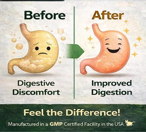 Vista 8 de H4U Fórmula probiótica de enzimas digestivas multienzimáticas con tabletas de Acidophilus para salud digestiva y apoyo intestinal, suplemento