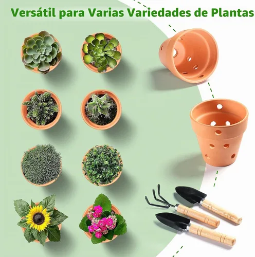 Vista 6 de Juego de 6 macetas de orquídea de terracota de 4 pulgadas