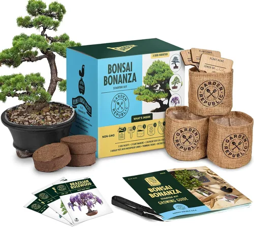 Vista 9 de Kit de principiantes de semillas de árbol Bonsai, Mini juego de cultivo de plantas Bonsai, 4 tipos de semillas, macetas, tijeras de podar
