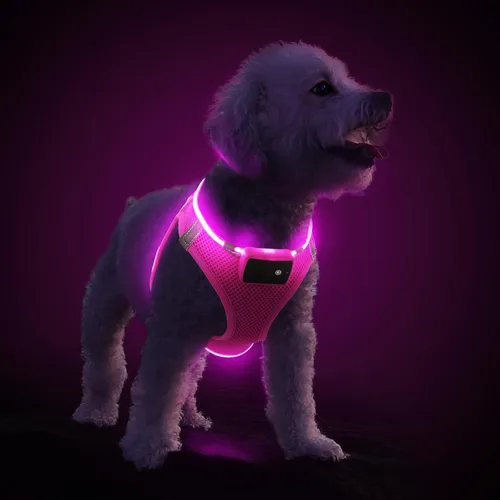 Vista 9 de PceoTllar Arnés para perro con luz LED, reflectante sin tirones, luz intermitente para caminar por la noche, talla S/M, (azul XS)