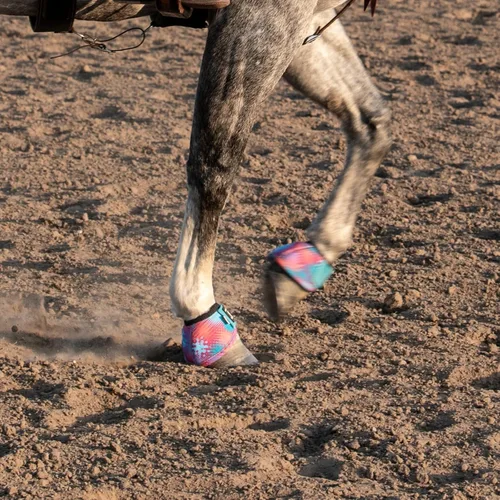 Vista 6 de Botas de Campana Dyno Turn de Classic Equine