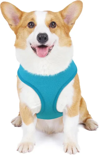 Vista 13 de MoNiBloom Arnés para perro de tamaño pequeño, chaleco acolchado suave para cachorros para caminar, correr, entrenar - negro, XS