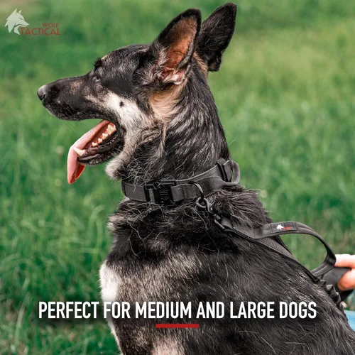 Vista 5 de Wolf Tactical Collar de perro - Collar militar resistente para perros grandes - Negro, Talla M