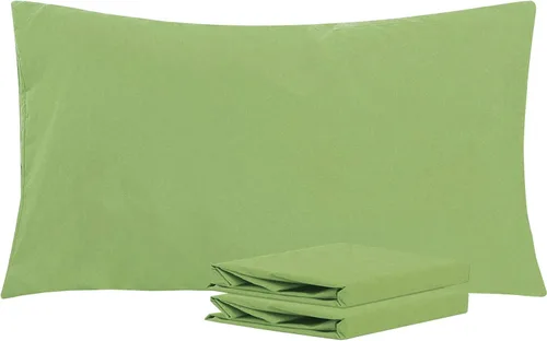 Vista 99 de NTBAY Juego de fundas de almohada estándar, paquete de 2 fundas de almohada de microfibra cepillada de 20 x 26 pulgadas, suaves, sin arrugas Aqua