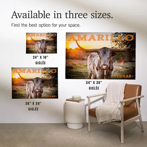 Vista 7 de Amarillo, Texas – Longhorn y puesta de sol (16 x 24 Collectible Galería Impresión giclée, pared Decoración Cartel de viaje)